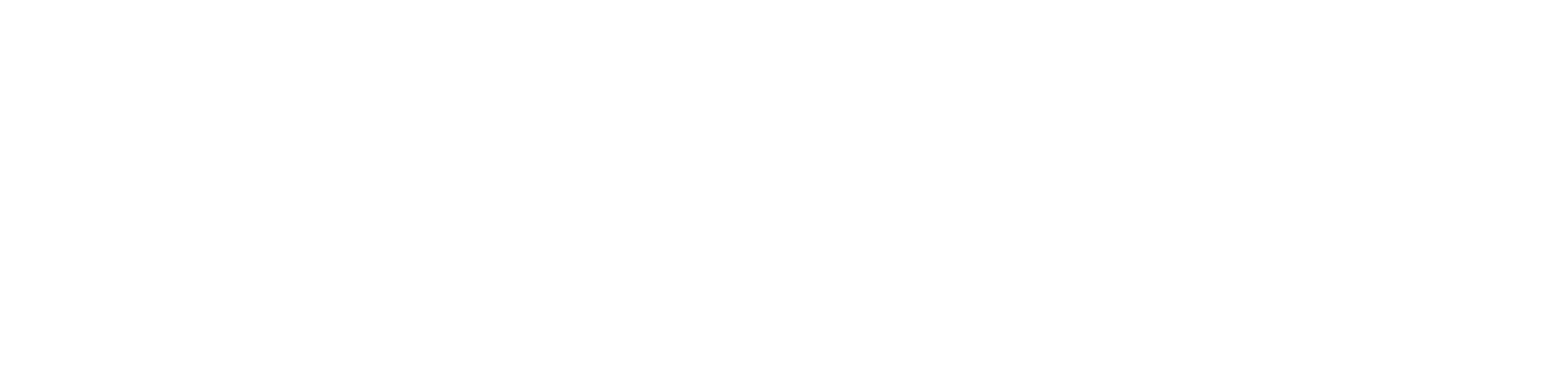 Freshndup - Affordable Web Development for Small Businesses - Logo